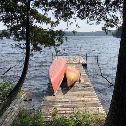 bittern lake cottage rental 18-20