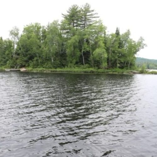 buck lake cottage rental 15-17