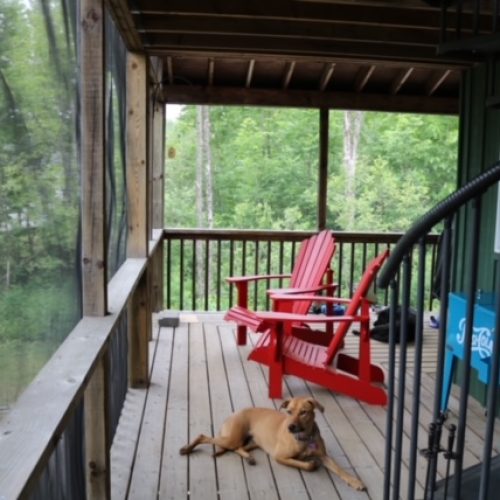 buck lake cottage rental 15-3