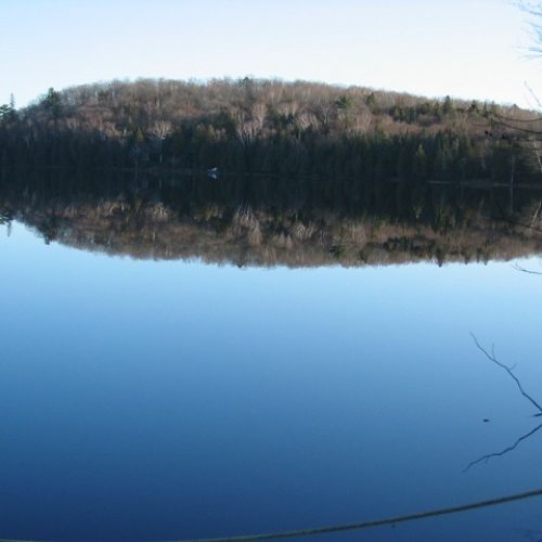 buck lake cottage rental 26-14
