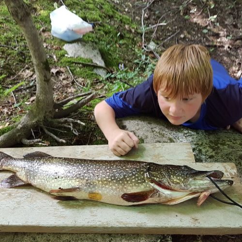 buck lake cottage rental 26-28