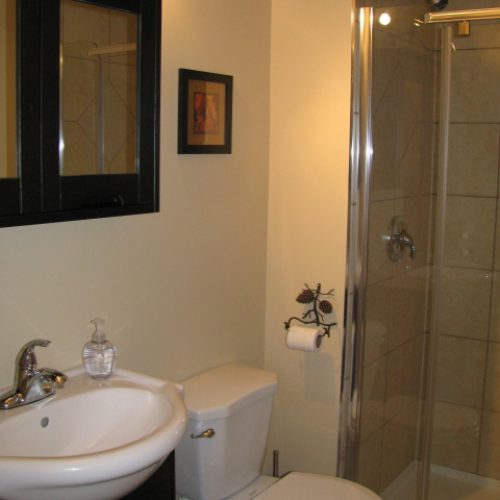 buck lake cottage rental 3-14