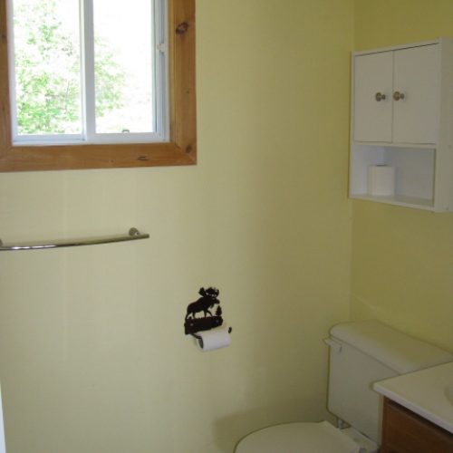 buck lake cottage rental 3-9