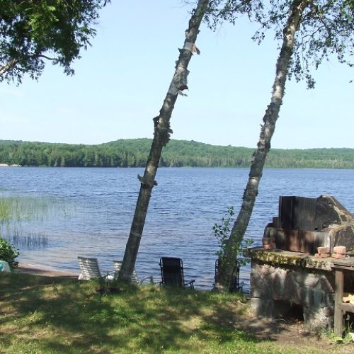 deer lake cottage rental 2-19