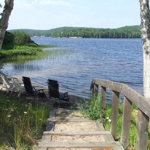 deer lake cottage rental 2-20