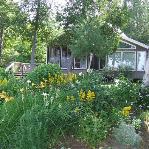 deer lake cottage rental 2-4