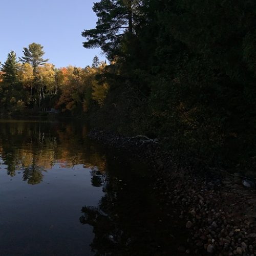 lake bernard cottage rental 14-23